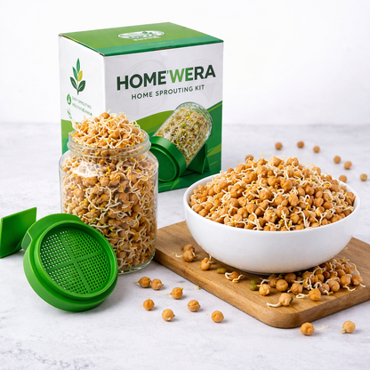 Sprouts Maker Glass Jar | Hygienic Glass – 720mls 🌱