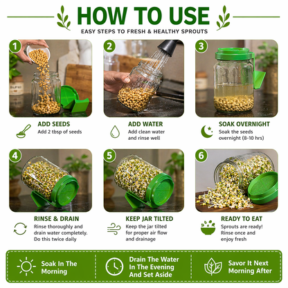 Sprouts Maker Glass Jar | Hygienic Glass – 720mls 🌱