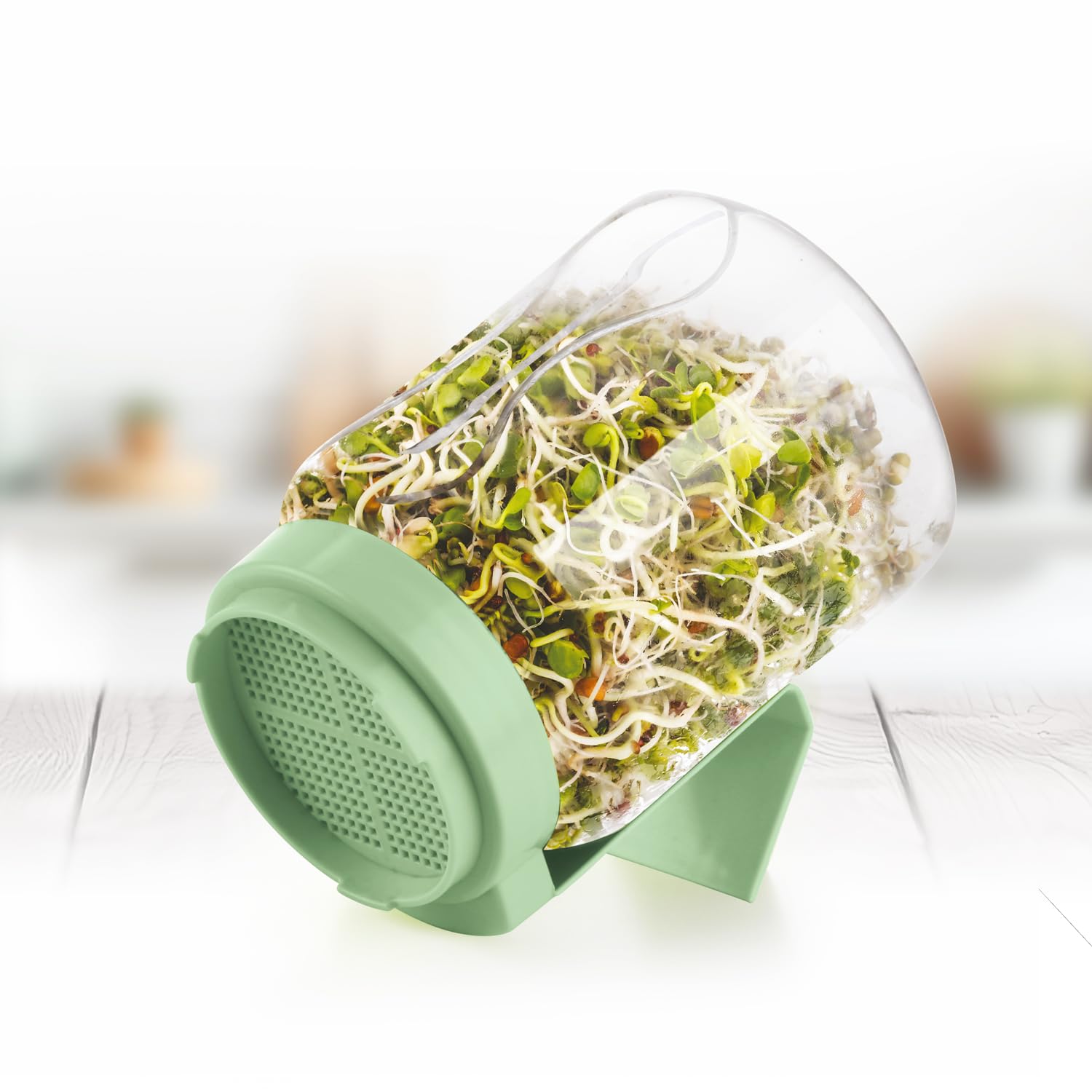 Easy to use glass sprouts maker for home kitchen - HOMEWERA