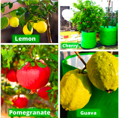 HomeWera HDPE Plant Grow Bags - Eco Friendly ☘️