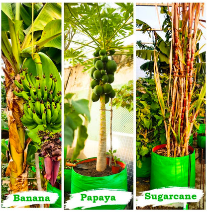 HomeWera HDPE Plant Grow Bags - Eco Friendly ☘️